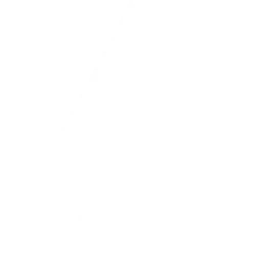 Icon Card